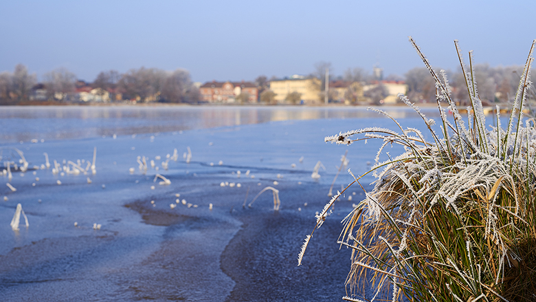 Frost på vassen vid Osbyssjön