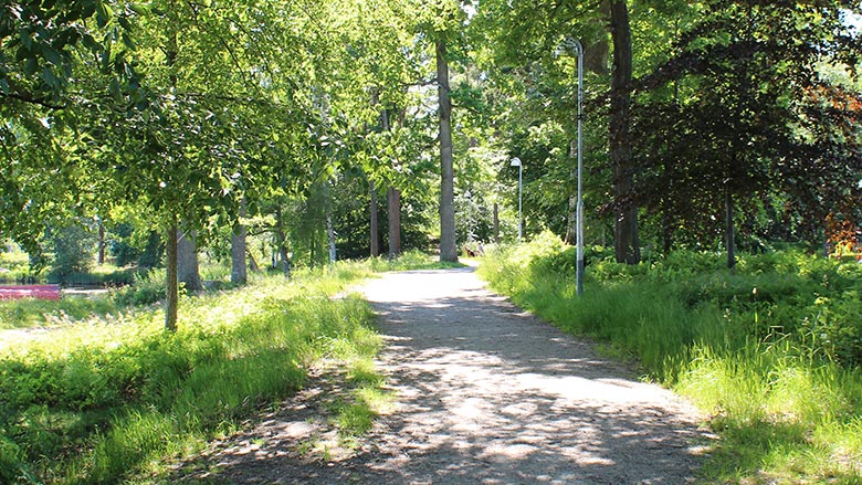 Gång- och cykelväg genom grönområde